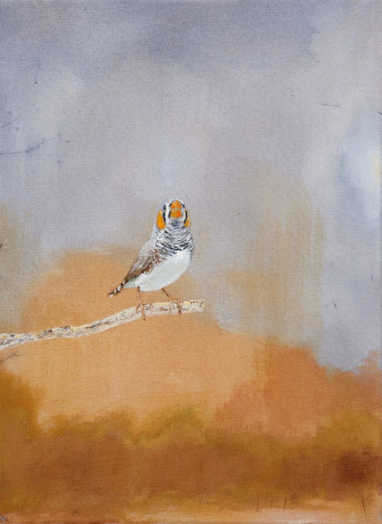 Zebra Finch 40x30cn vinyl en acryl op canvas 2024 (Privé collectie Fontao Portugal)