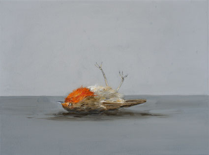 Dead Robin 30x40cm acrylic on canvas 2026