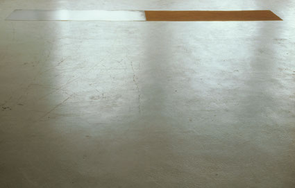 Zonder titel 340x60cmx0,2cm pigment en metaal op vloer 1987