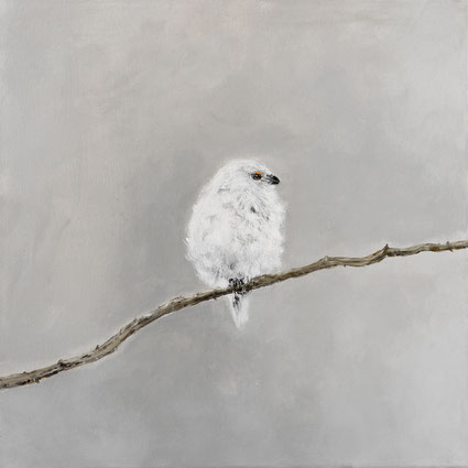 White-headed Long-tailed Bushtit on a Branch 40x40cm acrylic on canvas 2026 (Privé collectie Utrecht NL)