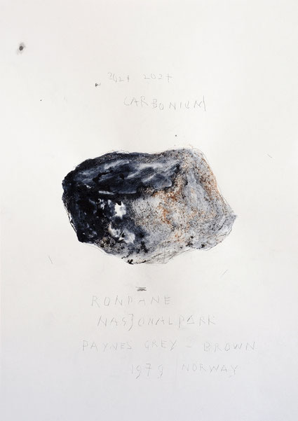 Carbonium Rondane Norway 39,9x28,3cm mixed media op papier 2024