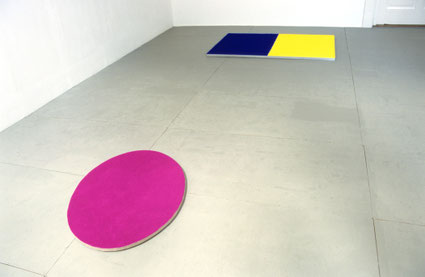 Bloemenveld pigment 65x90x2cm en Zonder titel pigment en metaal 90x140x2cm 2005
