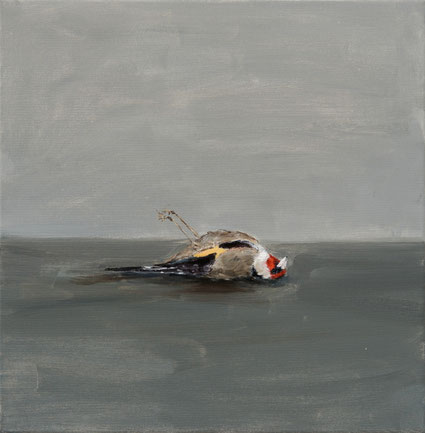 Dead Goldfinch 40x40cm acrylic on canvas 2026 (Privé collectie Amersfoort)
