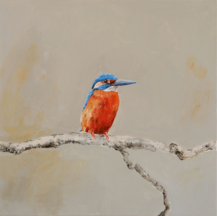 Kingfisher 40x40cm acryl op canvas 2026 (Privé collectie Riyadh Saudi Arabia)