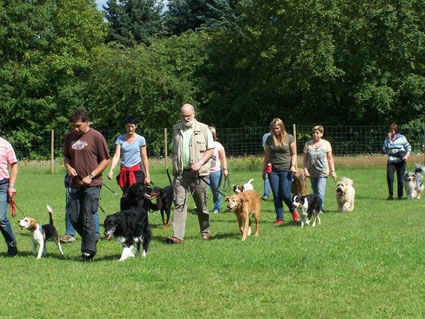 Menschengruppe mit Hunden bei Fuß gehen