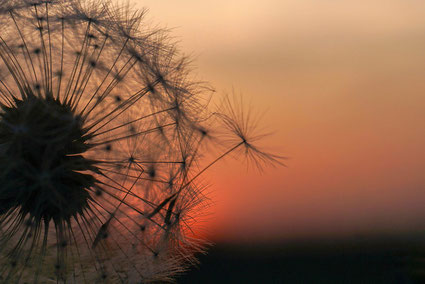 www.ronaldosephius.nl Steiger zon in wolken Bewust Groeien vanuit innerlijke kracht