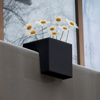 Steckling_cube