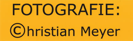 menschenundmomente Christian Meyer Fotografie Weimar