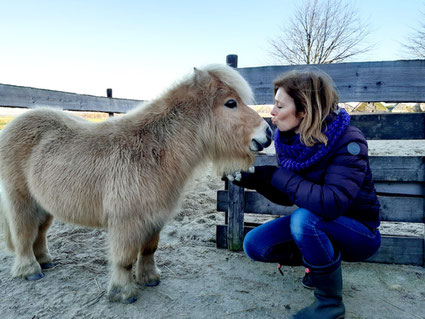 Deze lieve shet helpt jou graag om je grenzen te bewaken, houdt van knuffelen en lekker doen waar hij zin heeft. 