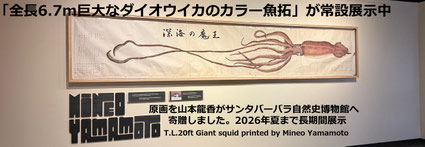寄贈ダイオウイカのカラー魚拓を日米二大博物館が永久保存