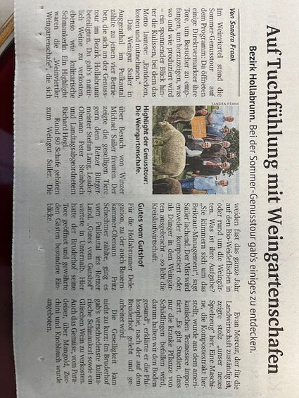 Kurier Beitrag von Sandra Frank über die Sommer Genusstour im Weinviertel und den Besuch bei den Weingartenschafen vom Weingut Sailer.