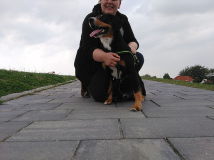 In Büsum auf'm Nordseedeich