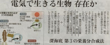 2012/2/12読売新聞サイエンス　腸内細菌は電気を合成している？