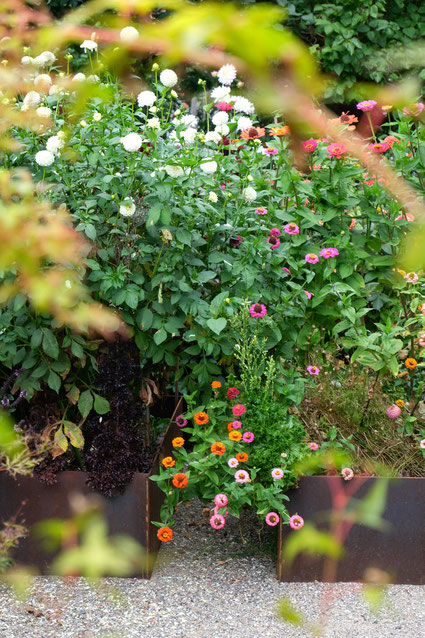 dieartigeGARTEN // August Garden - high beds with zinnia / Details: Hochbeete mit Zinnien+Dahlien