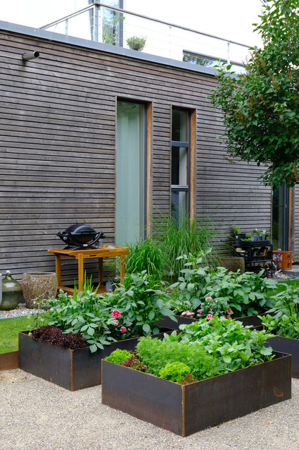 dieartigeGARTEN //June Garden - new high beds / neue Kniehochbeete mit Salat, Zinnien, Dahlien & Co