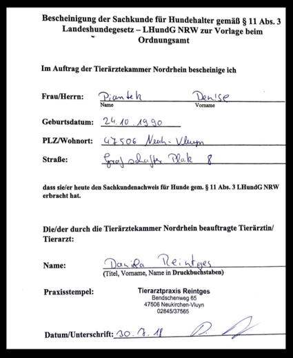 Hundebetreuung Flex Office Services Webseite