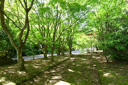 　　ひろしまフォト歩き