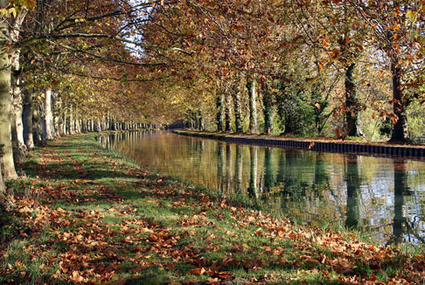 Canal Latéral à La Garonne