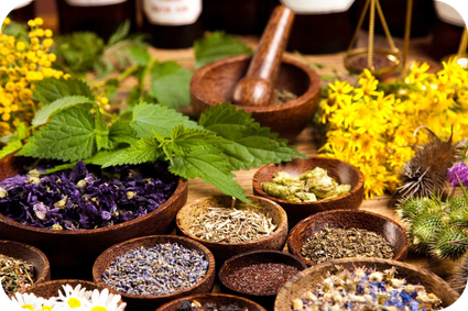 Marie Vervaeke - permathérapie - outils - plantes - extraits - solutions naturelles - enghien