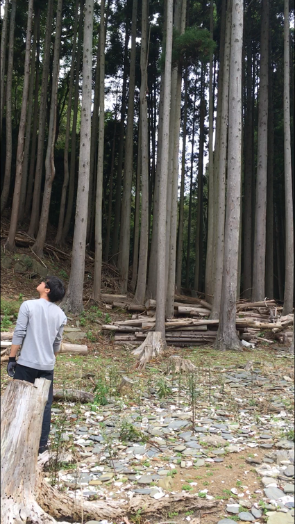 とりあえず現場を二人で見てアイディアを共有