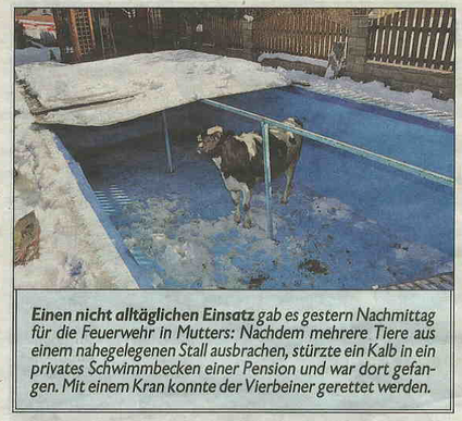 zum Vergrößern auf das Bild klicken
