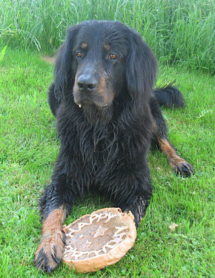Hovawart Leckerchen