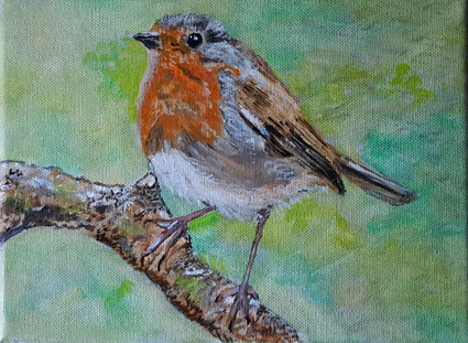 35.Robin nature 18x24 cm VERKOCHT