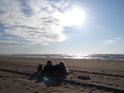 Der perfekte Badeurlaub mit Hund - Traveldog - fair4world