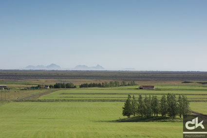 Baumgruppe bei Hvolsföllur mit Blick auf die Westmännerinseln
