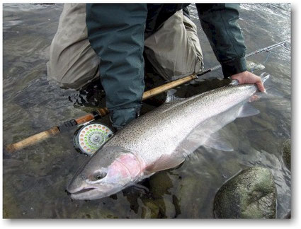 Steelhead Meiser Spey Rod Skeena