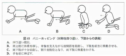 脳性麻痺と機能訓練7 幹鍼灸院 浦和駅西口 不定愁訴と運動器疾患
