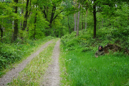 Wildwechsel 2: Schattenläufer/Scout – leise Bewegung und Tarnung im Wald