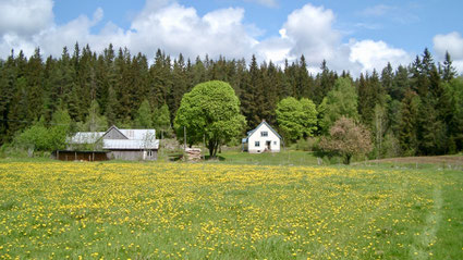 Glafsered in the spring