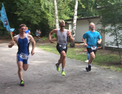 Bullenhai, Makohai und Gasthai beim Zieleinlauf