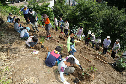 るーたんの森植樹場面