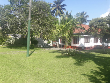 Die SUP-Unterkuft in Hikkaduwa - CIRCUS Lagoon Hideaway