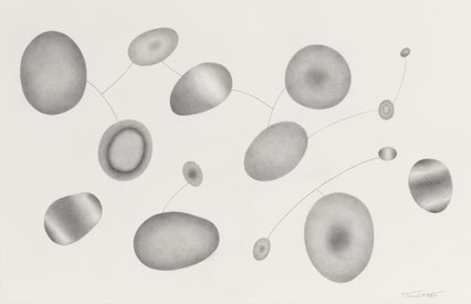31「Drawing_Seeds_3」鉛筆、アルシュ紙　27 x 42cm