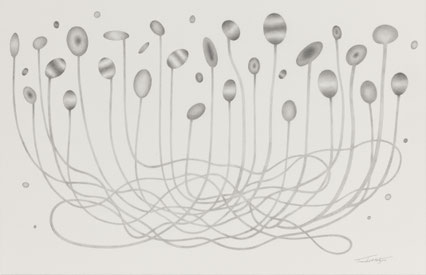 33「Drawing_Seeds_5」鉛筆、アルシュ紙　27 x 42cm