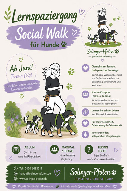 Hund beim Mantrailing in Solingen