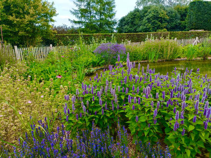 Choix des plantes pour une mare et plusieurs parterres thématiques chez un particulier : du jardin tondu à l'abondance de fleurs et de pollinisateurs. En collaboration avec Eden Passion.