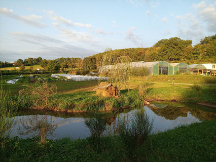 Les jardins de Longpré à Wanze : aide au design et au plan de culture