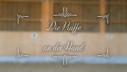 Die Piaffe an der Hand