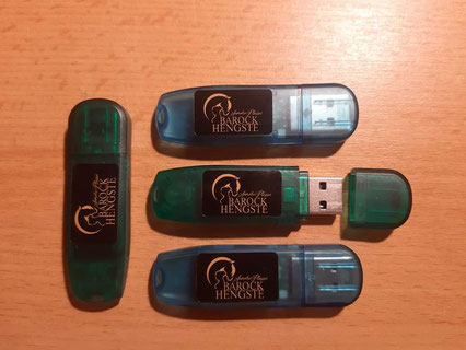 USB Stick Barockhengste.at