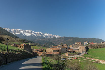 Bicicleta ruta circular tc210 - Montellà