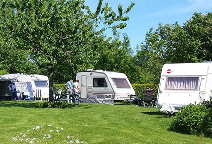 Camping Lentemaheerd Campingplatz Holland am Meer 2026