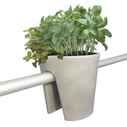 Steckling concrete