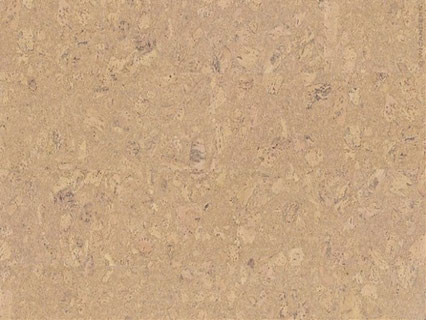 WICANDERS cork pure Personality Champagne