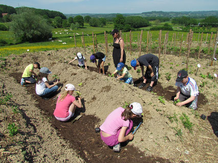  Classe verte en Bourgogne au jardin pédagogique en permaculture