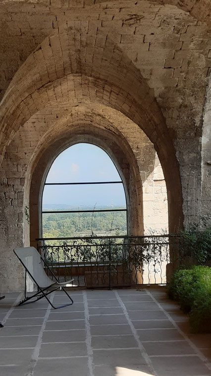 Bild: Les Jardins de l´Abbaye Saint André in Villeneuve-lès-Avignonleneuve-lès-Avignon 