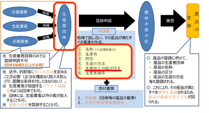 図1 制度発足時の申請･認可スキーム（クリックで拡大）
